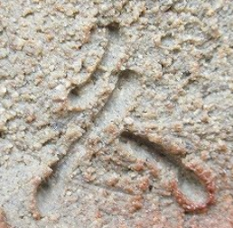 陶芸作家鶴田純久 つるたよしひさ　（唐津焼）の陶印・裏印・窯印・サイン画像です。