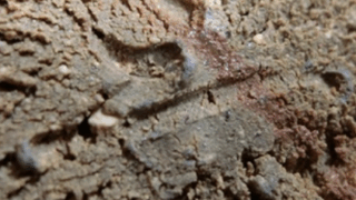 027295fa873d9746840220a4b1ff5b55 1