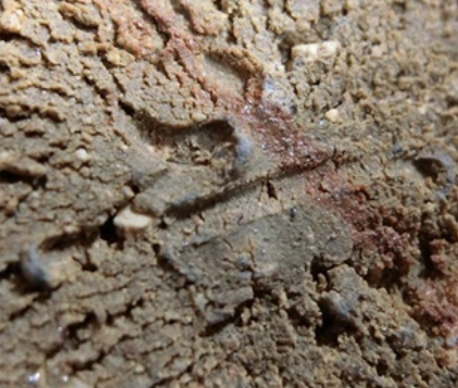 陶芸作家川端文雄　かわばたふみお　（備前焼）の陶印・裏印・窯印・サイン画像です。