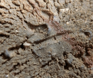 陶芸作家川端文雄 （備前焼）の陶印・裏印・窯印・サイン画像です。