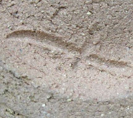 陶芸作家徳沢守俊　とくさわもりとし　（唐津焼）の陶印・裏印・窯印・サイン画像です。