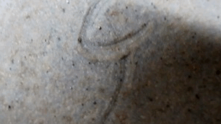 1ef9ff9f3fc64b4c0547006d3ac9240f 1