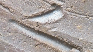 250bbc270f55ff566c6ed2e771a32cef 1