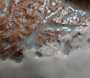 陶芸作家蓮善隆 （伊賀焼）の陶印・裏印・窯印・サイン画像です。