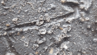 3fd28ad5b39c4195a8d85fdabff7749a 1