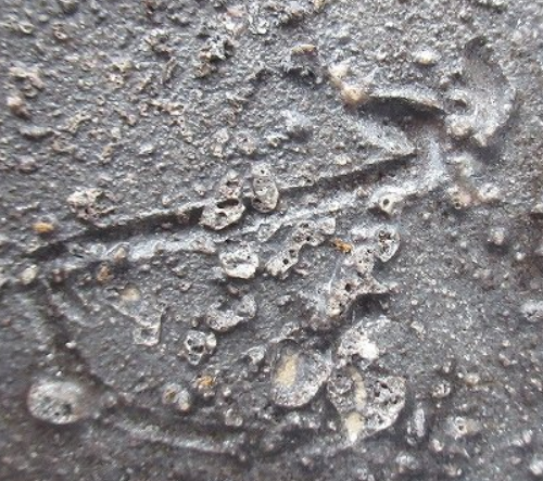 陶芸作家ジェフ・シャピロ Jeff Shapiro　（備前焼）の陶印・裏印・窯印・サイン画像です。