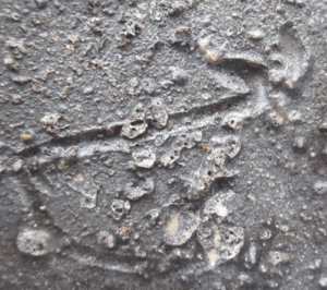 陶芸作家ジェフ・シャピロ Jeff Shapiro　（備前焼）の陶印・裏印・窯印・サイン画像です。