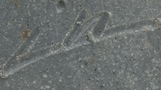 4975249ae0d644df29a7a7964b2d7091 1