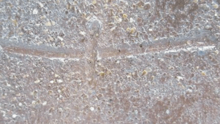 5486b766b98316cac18449502e476a06 1