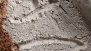 5670a41797676adc9dbdbd0fc9fe49f9 1