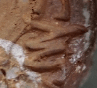 5a3c14bfcacdad6144512831c1f8864b 1