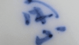 5a3c4c57021fbcf3c22ffd75219fd337 1