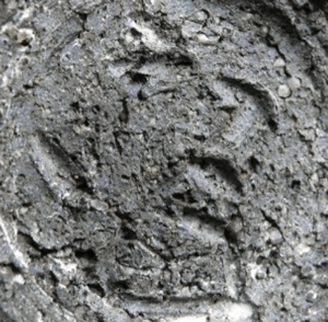 陶芸作家矢内齊 （益子焼）の陶印・裏印・窯印・サイン画像です。