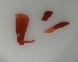 陶芸作家小畑裕司　仁窯　（有田・鍋島焼）の陶印・裏印・窯印・サイン画像です。