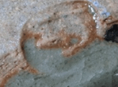 7ac73a032d80cad70f4b2a2614317362 1