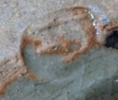 陶芸作家佐藤巧 （益子焼）の陶印・裏印・窯印・サイン画像です。