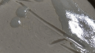 834877b45bf7e0765c82a27b30882ce9 1