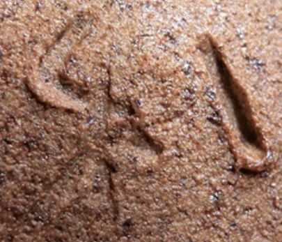 陶芸作家宗像利浩　むなかたとしひろ　（その他（未分類含む））の陶印・裏印・窯印・サイン画像です。