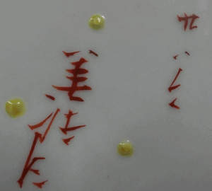 陶芸作家武腰善太郎 （九谷焼）の陶印・裏印・窯印・サイン画像です。