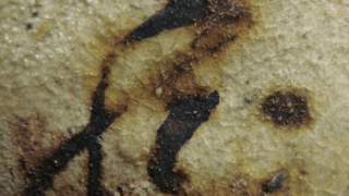 9bafcea821982cf6c02b6140227700ef 1