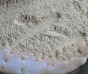 陶芸作家山田和 （その他（未分類含む））の陶印・裏印・窯印・サイン画像です。