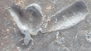 a1fa613a189c67bc54635cc39673e64d 1