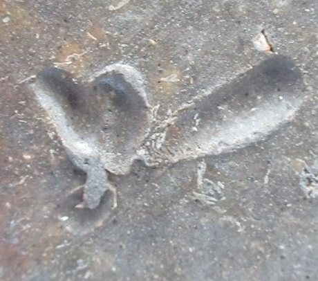 陶芸作家奥本健一　おくもとけんいち　（備前焼）の陶印・裏印・窯印・サイン画像です。