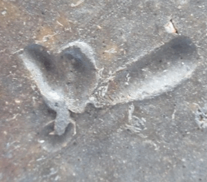 陶芸作家奥本健一 （備前焼）の陶印・裏印・窯印・サイン画像です。