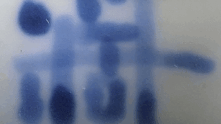 a651a914ca96648eff2a6bdedfdb1c3a 1