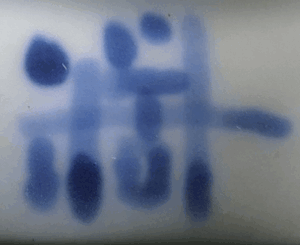 陶芸作家近藤潤 （その他（未分類含む））の陶印・裏印・窯印・サイン画像です。