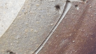 c55f1106dd6cb1ac20207e0d0290d85d 1