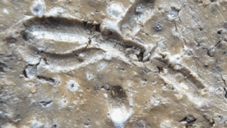 d1f44444f60e78a1728c68bbc12ea3d3 1