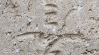 d28d2123d1de034dfe4238f99b0089e1 1