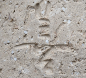 陶芸作家波多野善蔵　指月窯　（萩焼）の陶印・裏印・窯印・サイン画像です。