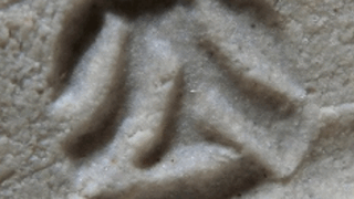 d8768a0f32492115084041803ba76c88 1