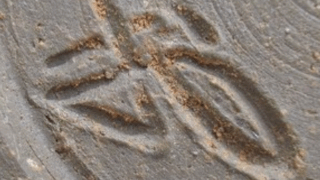 e5d3d714be38908364c20f2791b2b11f 1