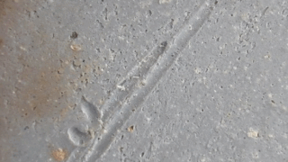 eeb8fc84d1146139d2931be1a182034e 1