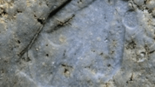 efcc19411b72e326f99fc5060075c50a 1