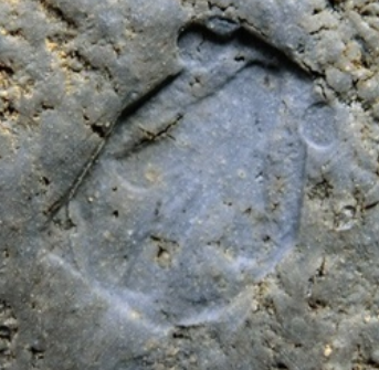 陶芸作家金重道明　かねしげみちあき　（備前焼）の陶印・裏印・窯印・サイン画像です。