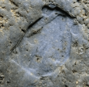 陶芸作家金重道明 （備前焼）の陶印・裏印・窯印・サイン画像です。