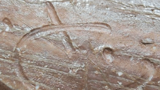 f49ba4df77dc7f6360aa9e51f7efd7cf 1