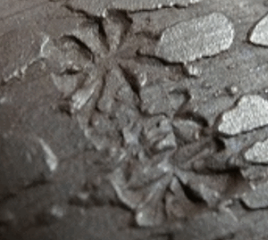 陶芸作家中山米楽　（萬古焼）の陶印・裏印・窯印・サイン画像です。