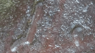 fa92f978298225afd70ddcc331ab688b 1