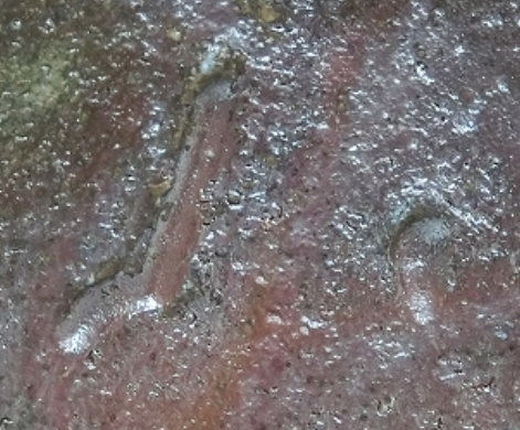 陶芸作家岩本孝志　いわもとたかし　（備前焼）の陶印・裏印・窯印・サイン画像です。