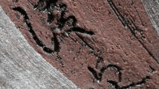 ff4c1e5aef7c3a52ad09799b307fa7dd 1