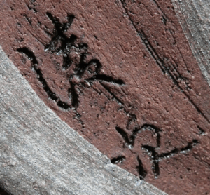 陶芸作家小橋川清次 （壺屋焼）の陶印・裏印・窯印・サイン画像です。