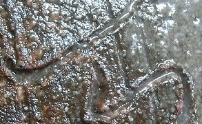 05482e6d84faae0ed177ae8067182667