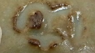 0712f58d38660f3de0ff56257f537c70