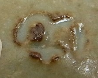 陶芸作家松崎健の陶印画像