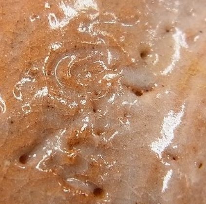 陶芸作家野坂和左の陶印画像